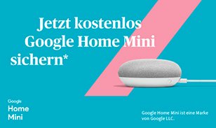 DBV Uwe Thomas Pracejus e. K. | Google Home Mini DBV Uwe Thomas Pracejus e. K. | Google Home Mini