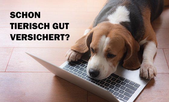 Schon tierisch gut versichert?