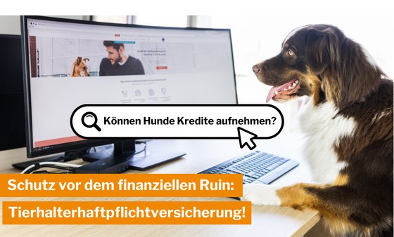 Ein Hund sitzt am Schreibtisch und schaut auf den Bildschirm