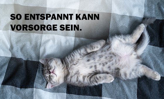 DBV - So entspannt kann Vorsorge sein. DBV - So entspannt kann Vorsorge sein.